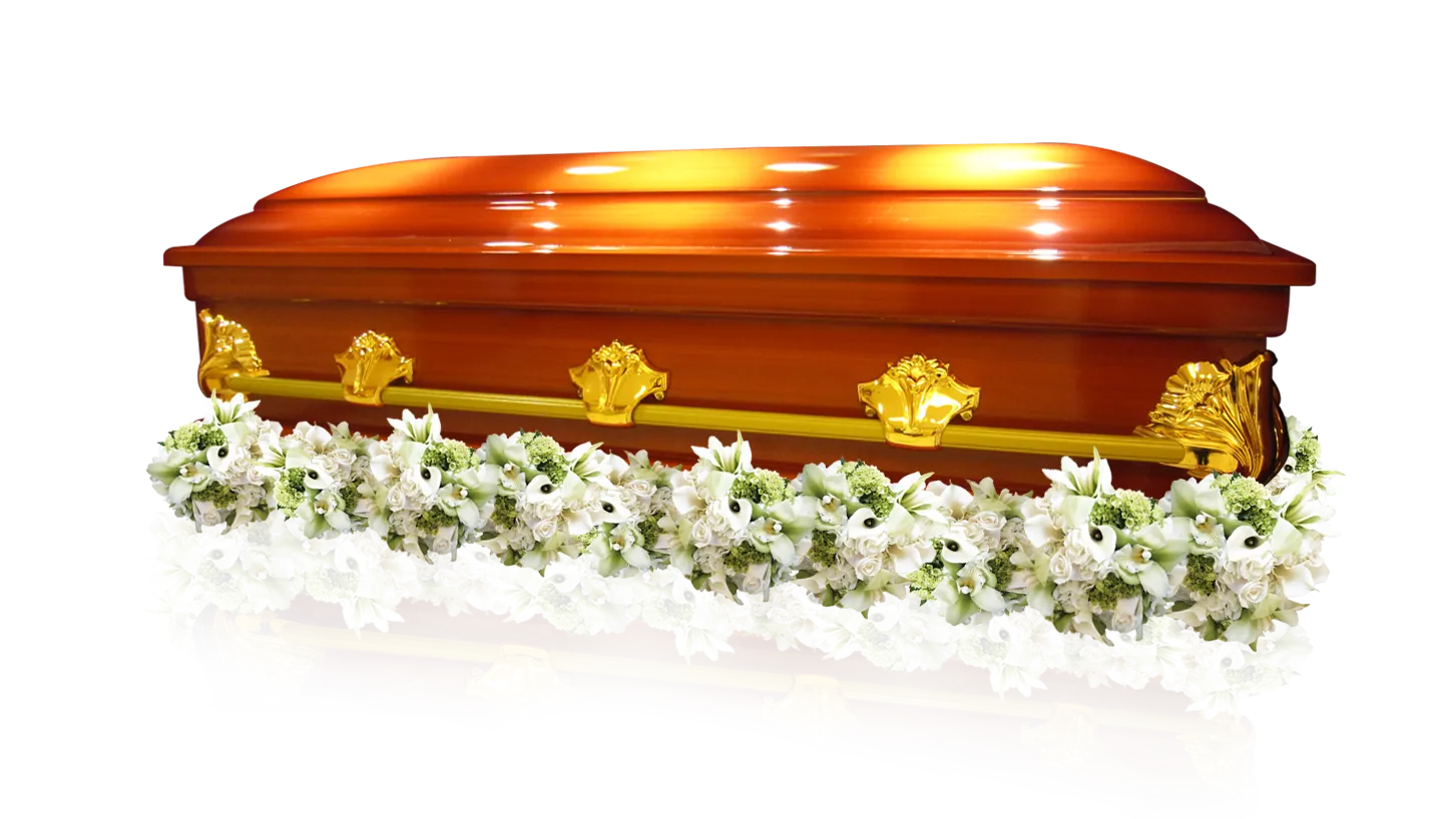 nCasket-Harmony1